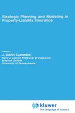 Strategic Planning and Modeling in Property-Liability Insurance