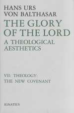 The Glory of the Lord, Volume 7: Theology, the New Covenant