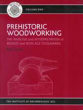 PREHISTORIC WOODWORKING: THE ANALYSIS AND INTERPRETATION OF BRONZE AND IRON AGE TOOLMAKERS