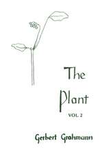 The Plant