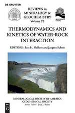 Thermodynamics and Kinetics of Water-Rock Interaction