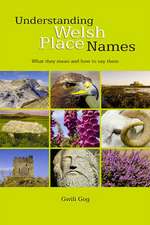 Understanding Welsh Place Names