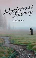 Mysterious Journey