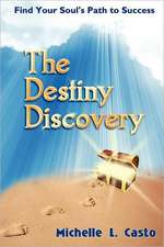 The Destiny Discovery: Find Your Soul's Path to Success