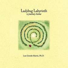 Ladybug Labyrinth: A Journey Home