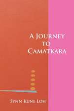 A Journey to Camatkara: A View from the Inside