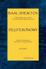 Baal Shem Tov Deuteronomy: Mystical Stories on the Weekly Torah Portion