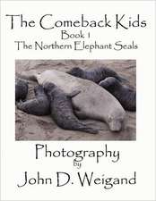 The Comeback Kids Book 1, the Northern Elephant Seals: The Birthplace of Slavery