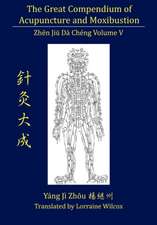 The Great Compendium of Acupuncture and Moxibustion Vol. V