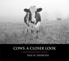 Cows: A Closer Look