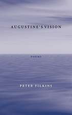 Augustine's Vision