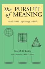 The Pursuit of Meaning