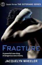 Fracture: 1996-2009