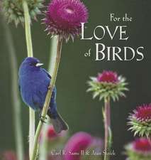 For the Love of Birds