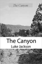 The Canyon: A Paul Anders Mystery