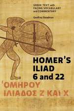 Homer's Iliad 6 and 22