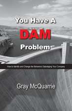 You Have a Dam Problem