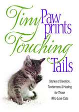 Tiny Paw Prints Touching Tails: Stories of Devotion, Tenderness & Healing for Those Who Love Cats