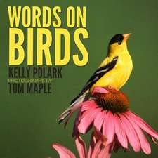 Words on Birds