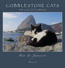 Cobblestone Cats - Rio de Janeiro