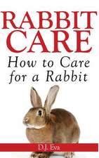 Rabbit Care