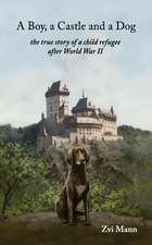 A Boy, A Castle and A Dog