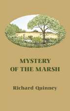 Mystery of the Marsh