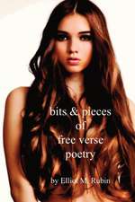 Bits and Pieces of Free Verse Poetry