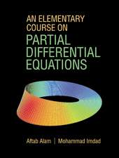 An Elementary Course on Partial Differential Equations