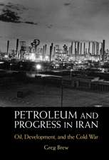 Petroleum and Progress in Iran: Oil, Development, and the Cold War