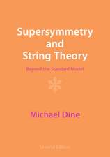 Supersymmetry and String Theory