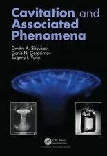 Cavitation and Associated Phenomena