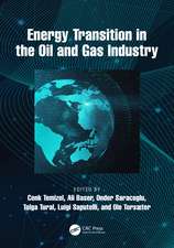 Energy Transition in the Oil and Gas Industry