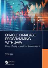 Oracle Database Programming with Java: Ideas, Designs, and Implementations