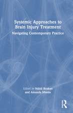 Systemic Approaches to Brain Injury Treatment: Navigating Contemporary Practice