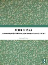 Learn Persian: Grammar and Workbook for Elementary and Intermediate Levels