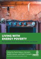 Living with Energy Poverty: Perspectives from the Global North and South