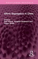 Ethnic Segregation in Cities