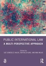 Public International Law: A Multi-Perspective Approach