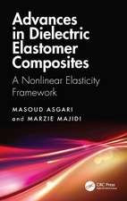 Advances in Dielectric Elastomer Composites: A Nonlinear Elasticity Framework