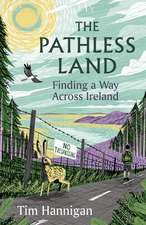 The Pathless Land