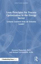 Lean Principles for Process Optimization in the Energy Sector: Lessons Learned from an Industry Leader