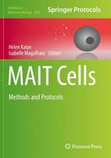 MAIT Cells