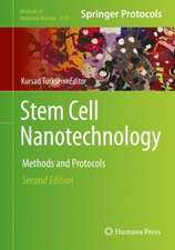 Stem Cell Nanotechnology: Methods and Protocols