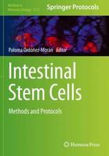 Intestinal Stem Cells