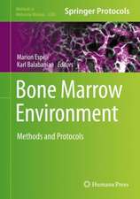 Bone Marrow Environment: Methods and Protocols