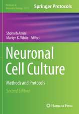 Neuronal Cell Culture: Methods and Protocols