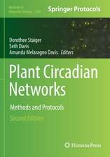 Plant Circadian Networks