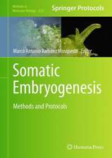 Somatic Embryogenesis: Methods and Protocols