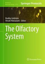 The Olfactory System